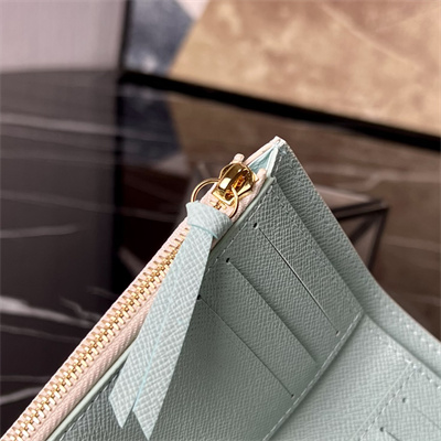 L.V Victorine Wallet Damier coated canvas  Pistachio Green N40750