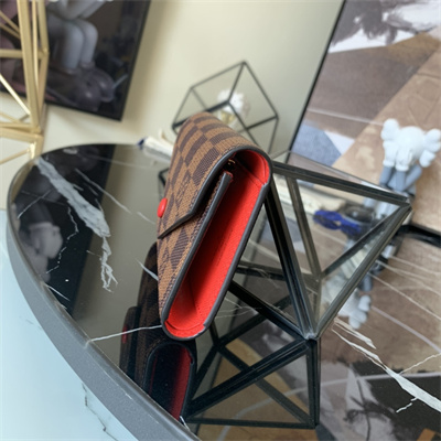 L.V Victorine Wallet Damier Ebene Inside Red N41659