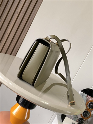 Loewe Goya Bag In Silk Calfskin