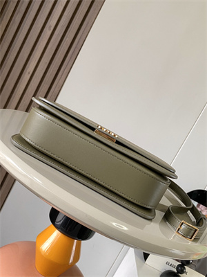 Loewe Goya Bag In Silk Calfskin