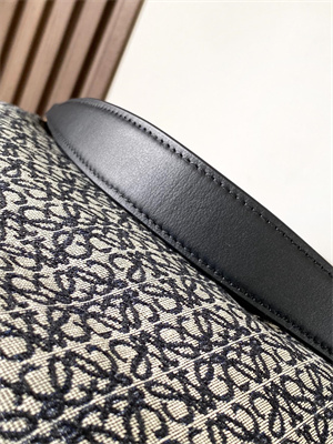 Loewe Luna bag in Anagram jacquard and classic calfskin