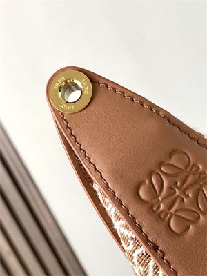 Loewe Luna bag in Anagram jacquard and classic calfskin