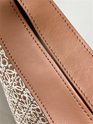 Loewe Luna bag in Anagram jacquard and classic calfskin