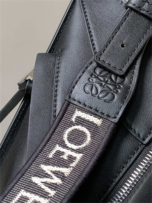 Loewe Compact Hammock bag in Classic calfskin With Jacquard Strap