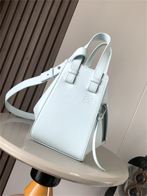 Loewe Compact Hammock bag in Classic calfskin