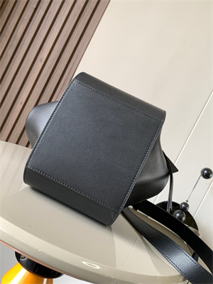 Loewe Compact Hammock bag in Classic calfskin