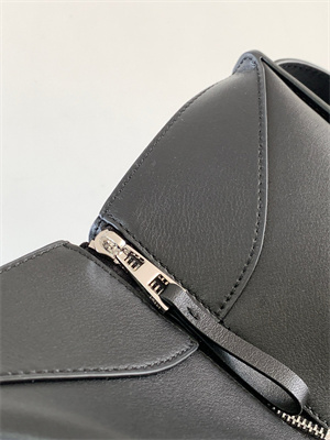 Loewe Compact Hammock bag in Classic calfskin
