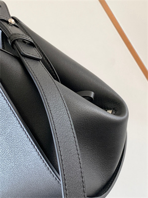 Loewe Compact Hammock bag in Classic calfskin
