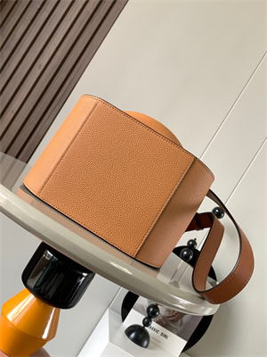 Loewe Compact Hammock bag in Soft Grained calfskin