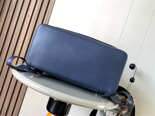 Loewe Goya Backpack In Silk Calfskin Navy Blue