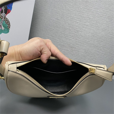 Prada Arqué leather shoulder bag Beige Color 1BC194