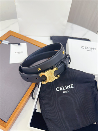 Celine Triomphe Belt 25MM Calfskin Gold Tone Metal Black