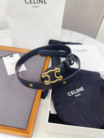 Celine Triomphe Belt 25MM Calfskin Gold Tone Metal Black