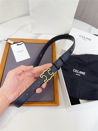 Celine Triomphe Belt 25MM Calfskin Gold Tone Metal Black