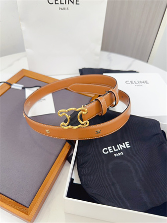 Celine Triomphe Belt 25MM Calfskin Gold Tone Metal Brown