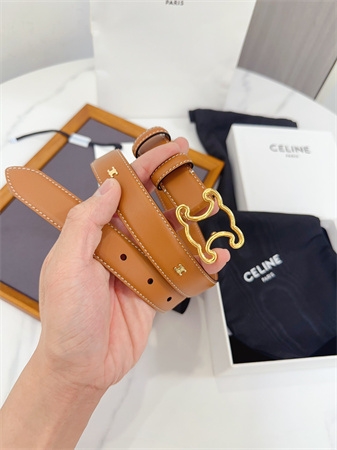 Celine Triomphe Belt 25MM Calfskin Gold Tone Metal Brown