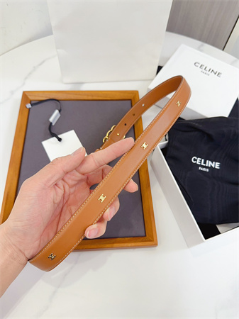 Celine Triomphe Belt 25MM Calfskin Gold Tone Metal Brown