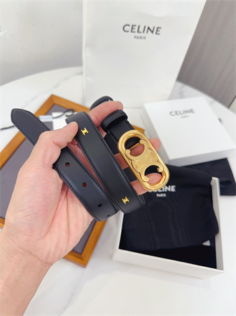 Celine Triomphe Belt 25MM Calfskin Gold Tone Metal Black