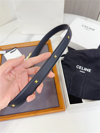 Celine Triomphe Belt 25MM Calfskin Gold Tone Metal Black