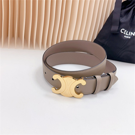 Celine Triomphe Belt 34MM Calfskin Shinny Gold Tone Buckle Grey