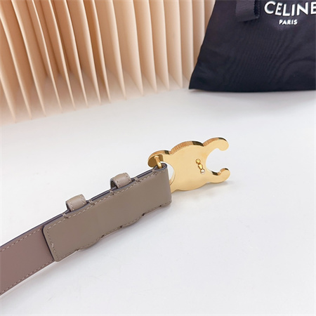 Celine Triomphe Belt 34MM Calfskin Shinny Gold Tone Buckle Grey