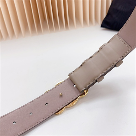 Celine Triomphe Belt 34MM Calfskin Shinny Gold Tone Buckle Grey