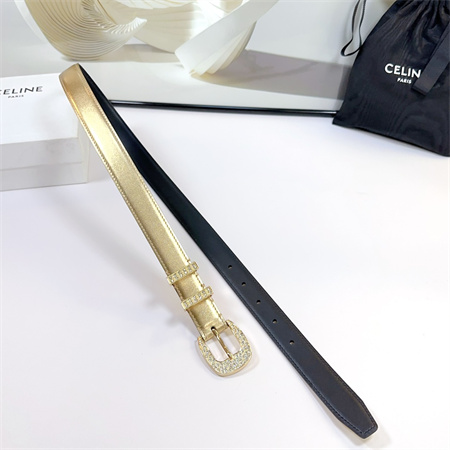 Celine Belt 25MM Calfskin In Gold Color