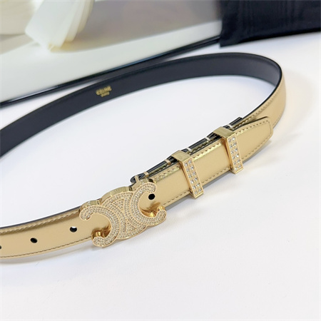 Celine Triomphe Belt 25MM Calfskin In Gold Color