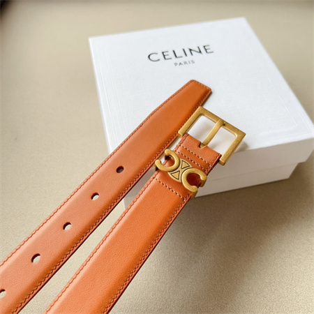 Celine TEEN TRIOMPHE Belt 30MM Calfskin Gold Tone Buckle Brown