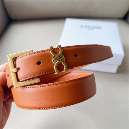 Celine TEEN TRIOMPHE Belt 30MM Calfskin Gold Tone Buckle Brown