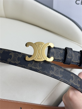 Celine TRIOMPHE Belt 25MM In Black TRIOMPHE CANVAS Gold Tone Buckle
