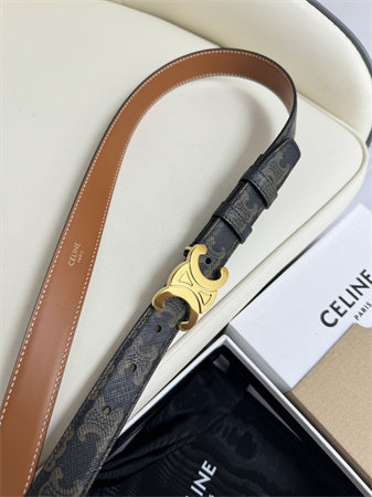 Celine TRIOMPHE Belt 25MM In Black TRIOMPHE CANVAS Gold Tone Buckle