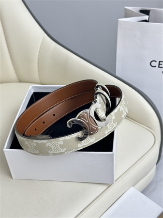 Celine TRIOMPHE Belt 25MM In White TRIOMPHE CANVAS Silver Tone Buckle