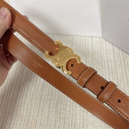 Celine TRIOMPHE Belt 25MM In Embossed Calfskin Gold Tone Buckle Brown