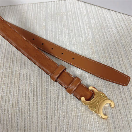Celine TRIOMPHE Belt 25MM In Embossed Calfskin Gold Tone Buckle Brown
