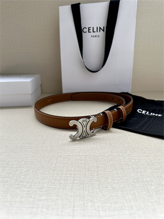 Celine TRIOMPHE Belt 25MM In Calfskin Aged Silver Tone Buckle Brown