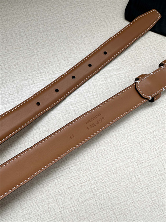 Celine TRIOMPHE Belt 25MM In Calfskin Aged Gold Tone Buckle Brown