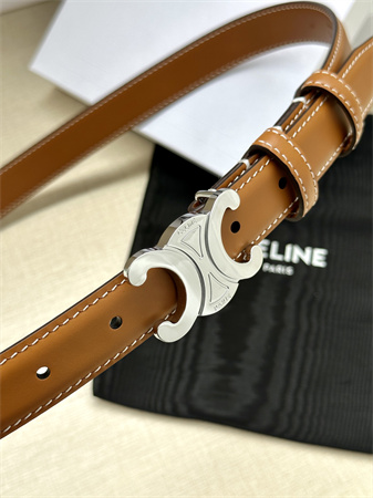 Celine TRIOMPHE Belt 25MM In Calfskin Silver Tone Buckle Brown