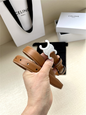 Celine TRIOMPHE Belt 25MM In Calfskin Silver Tone Buckle Brown