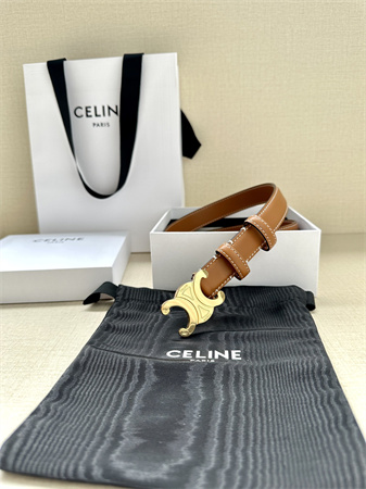 Celine TRIOMPHE Belt 25MM In Calfskin Shinny Gold Tone Buckle Brown