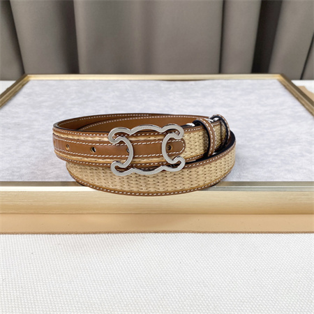 Celine TRIOMPHE Belt 25MM In Calfskin and Raffia Silver Tone Buckle Brown