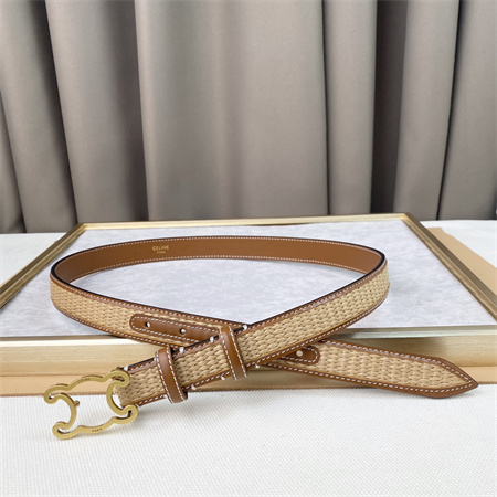 Celine TRIOMPHE Belt 25MM In Calfskin and Raffia Gold Tone Buckle Brown
