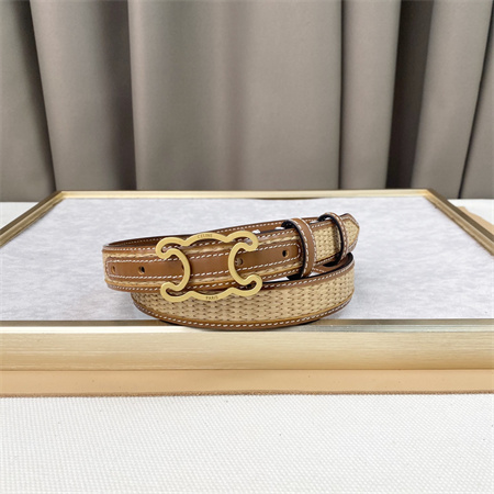 Celine TRIOMPHE Belt 25MM In Calfskin and Raffia Gold Tone Buckle Brown