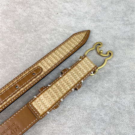 Celine TRIOMPHE Belt 25MM In Calfskin and Raffia Gold Tone Buckle Brown