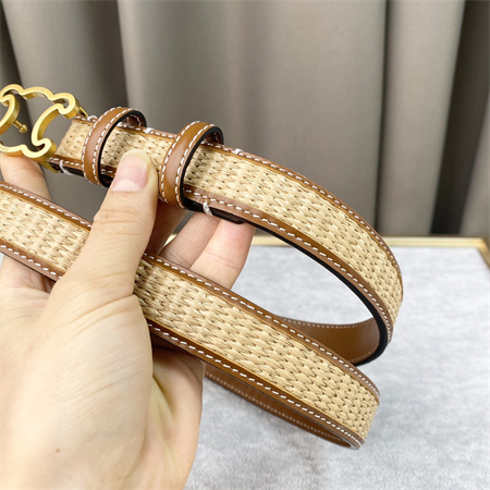 Celine TRIOMPHE Belt 25MM In Calfskin and Raffia Gold Tone Buckle Brown