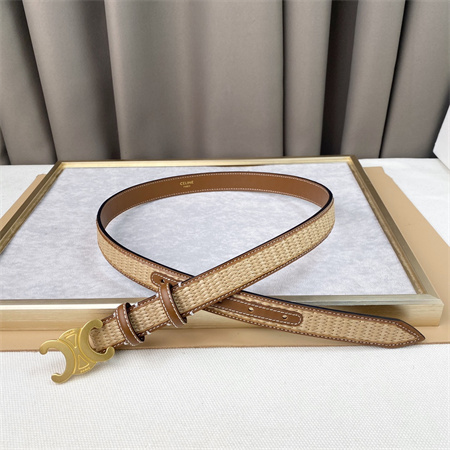Celine TRIOMPHE Belt 25MM In Calfskin and Raffia Gold Tone Buckle Brown