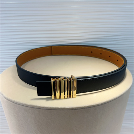 Loewe Belt In Calfskin 28MM Gold Hardware Black/Brown