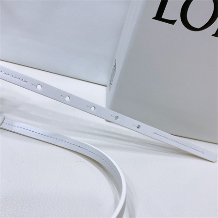 Loewe Belt In Calfskin 10MM Gold Hardware White