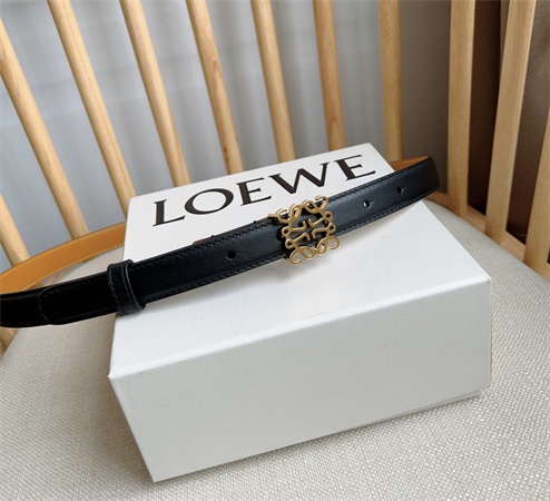 Loewe Belt In Smooth Calfskin 20MM Gold Hardware Black/Brown