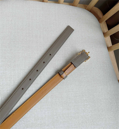 Loewe Belt In Grained Calfskin 20MM Gold Hardware Grey/Brown